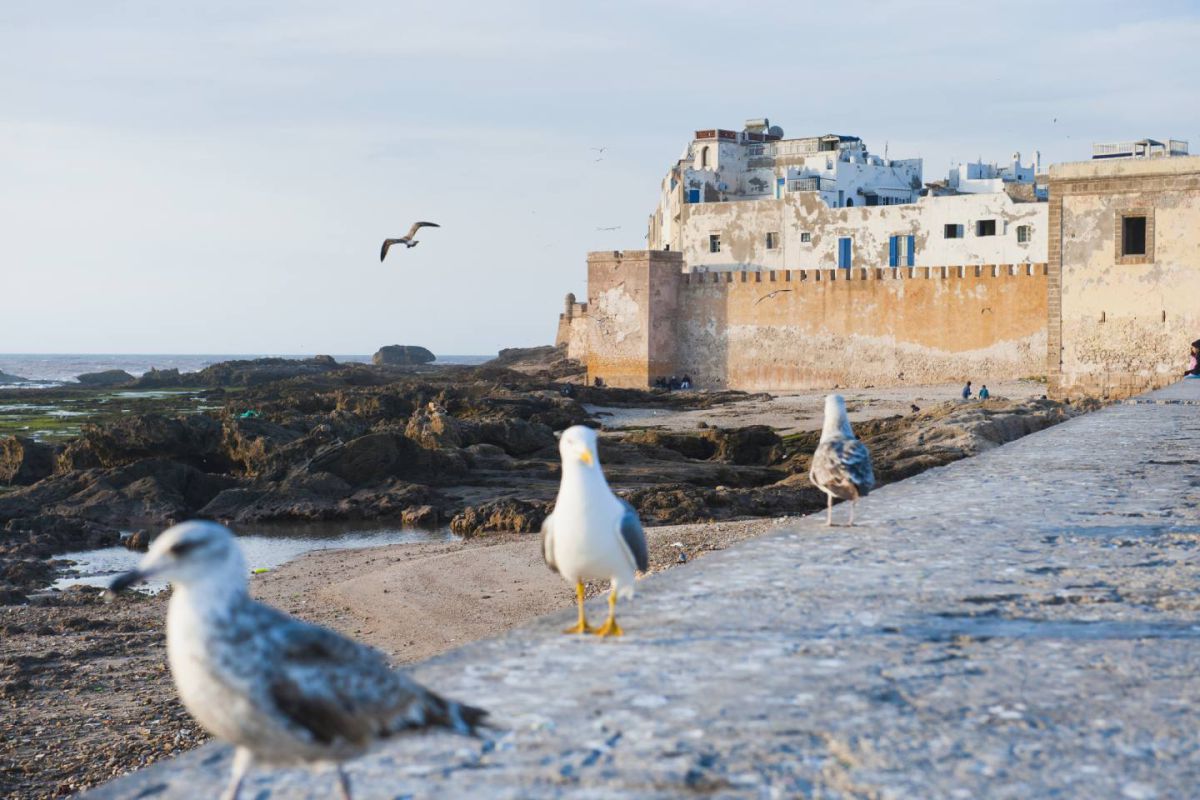 Excursion Essaouira – Mogador